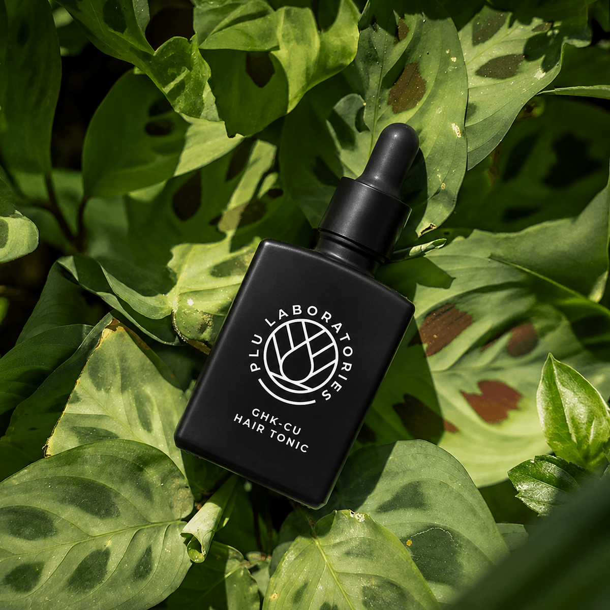 PLU Hair Tonic at Sunset - Square